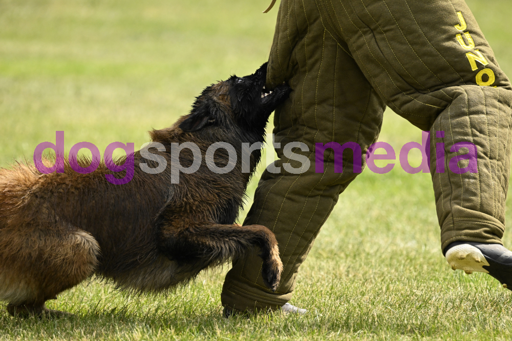 Preview _JRI_20230.jpg